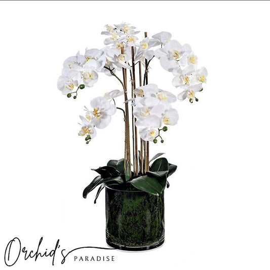 GREEN PARIS - Artificial White orchid flower arrangement in a glass cylinder vase - CENTERPIECE Table for your interior decoration - Gift