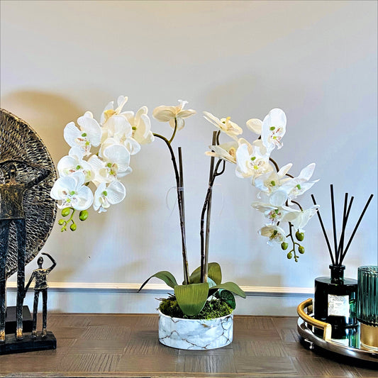 MARBLE CRYSTAL-Orchids Plant Arrangement Artificial in pot,Faux orchid and Moss floral display, Phalaenopsis white flower, Gifts