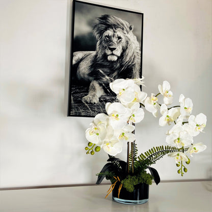 SAFARY by PARIS - White artificial orchid plant in BLACK cylinder glass vase - Faux orchid plant - Phaleonopsis plant - 15 X 10 Cm -