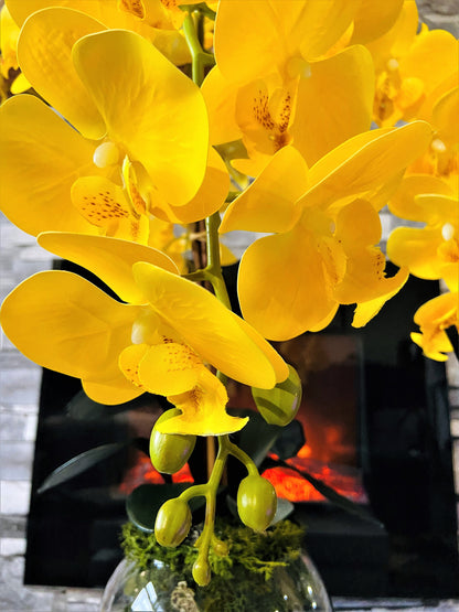 BANANA MOON PARIS - Yellow orchid flower arrangement in a Round Glass Pillar Tealight Holder - Clear glass cylinder - Unique Botanic