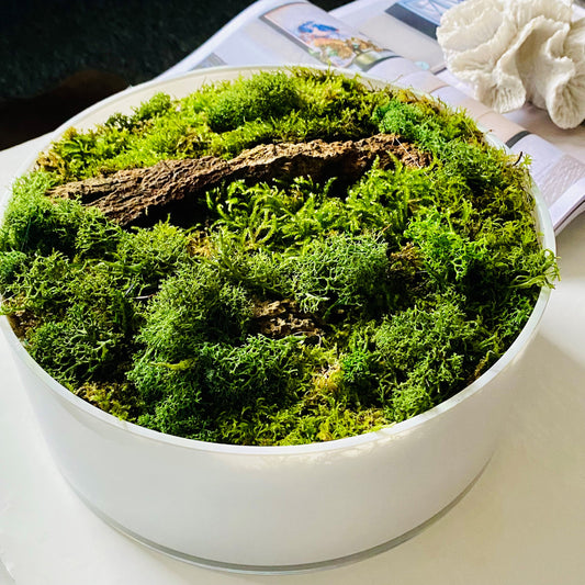 EIFFEL PARIS- Moss Bowl Centerpiece preserved moss table arrangement  green color moss decoration modern table decor - Gift Ideas